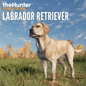 theHunter: Call of the Wild™ - Labrador Retriever cover image