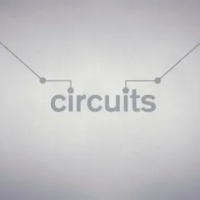 Circuits cover image