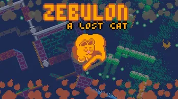Zebulon: A Lost Cat cover image