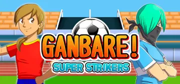 Ganbare! Super Strikers cover image