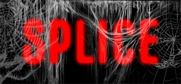 Splice cover image