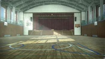 School Gymnasium cover image