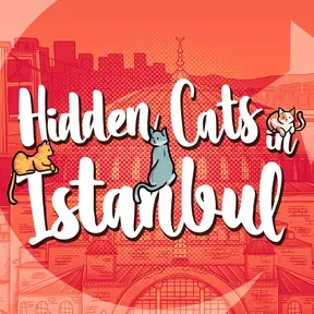 Hidden Cats in Istanbul cover image