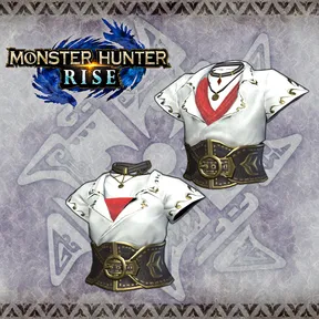 "Swallow Shirt" Hunter layered armor piece cover image