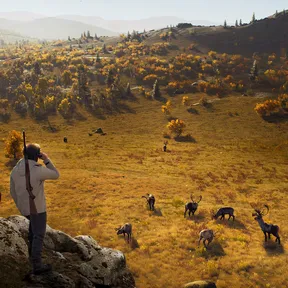 Way of the Hunter - Lintukoto Reserve cover image