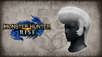 "Wild Pompadour" hairstyle cover image