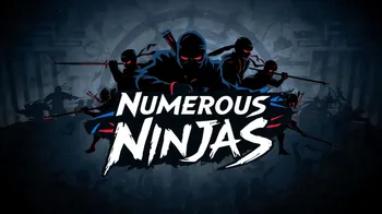 Numerous Ninjas cover image