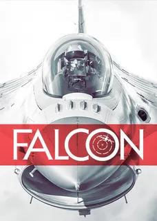Falcon cover image