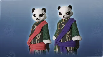 Unisex Custom Panda Costume Set cover image