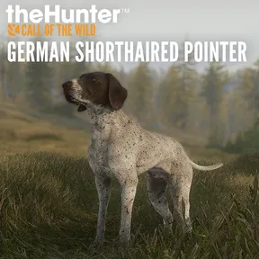 theHunter: Call of the Wild™ - German Shorthaired Pointer cover image