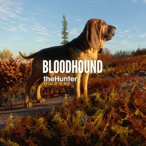 theHunter: Call of the Wild™ - Bloodhound cover image
