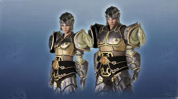 Unisex Custom Black Tortoise Armor Set cover image