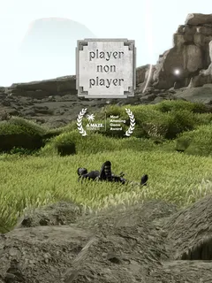 Player Non Player cover image