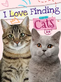 I Love Finding Cats cover image