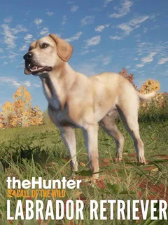 theHunter: Call of the Wild™ - Labrador Retriever cover image