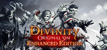 Divinity: Original Sin - Enhanced Edition cover image