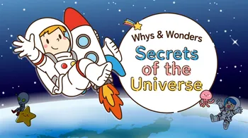 Whys & Wonders Secrets of the Universe cover image