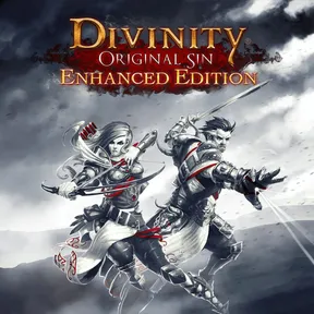 Divinity: Original Sin - Enhanced Edition cover image