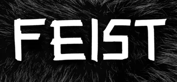 FEIST cover image