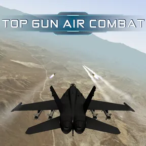 Top Gun Air Combat cover image
