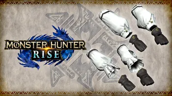 "Swallow Gloves" Hunter layered armor piece cover image