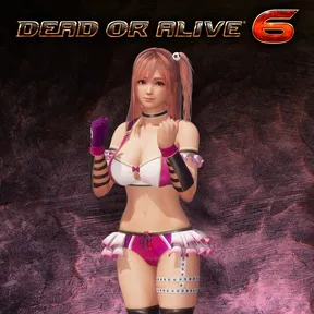 DOA6 Deluxe Costume - Honoka cover image