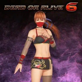 DOA6 Deluxe Costume - Kasumi cover image