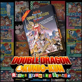 DOUBLE DRAGON Ⅱ: The Revenge cover image