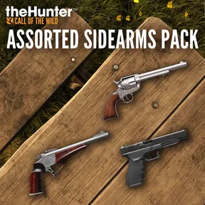 theHunter Call of the Wild™ - Assorted Sidearms Pack cover image