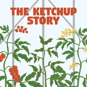The Ketchup story cover image